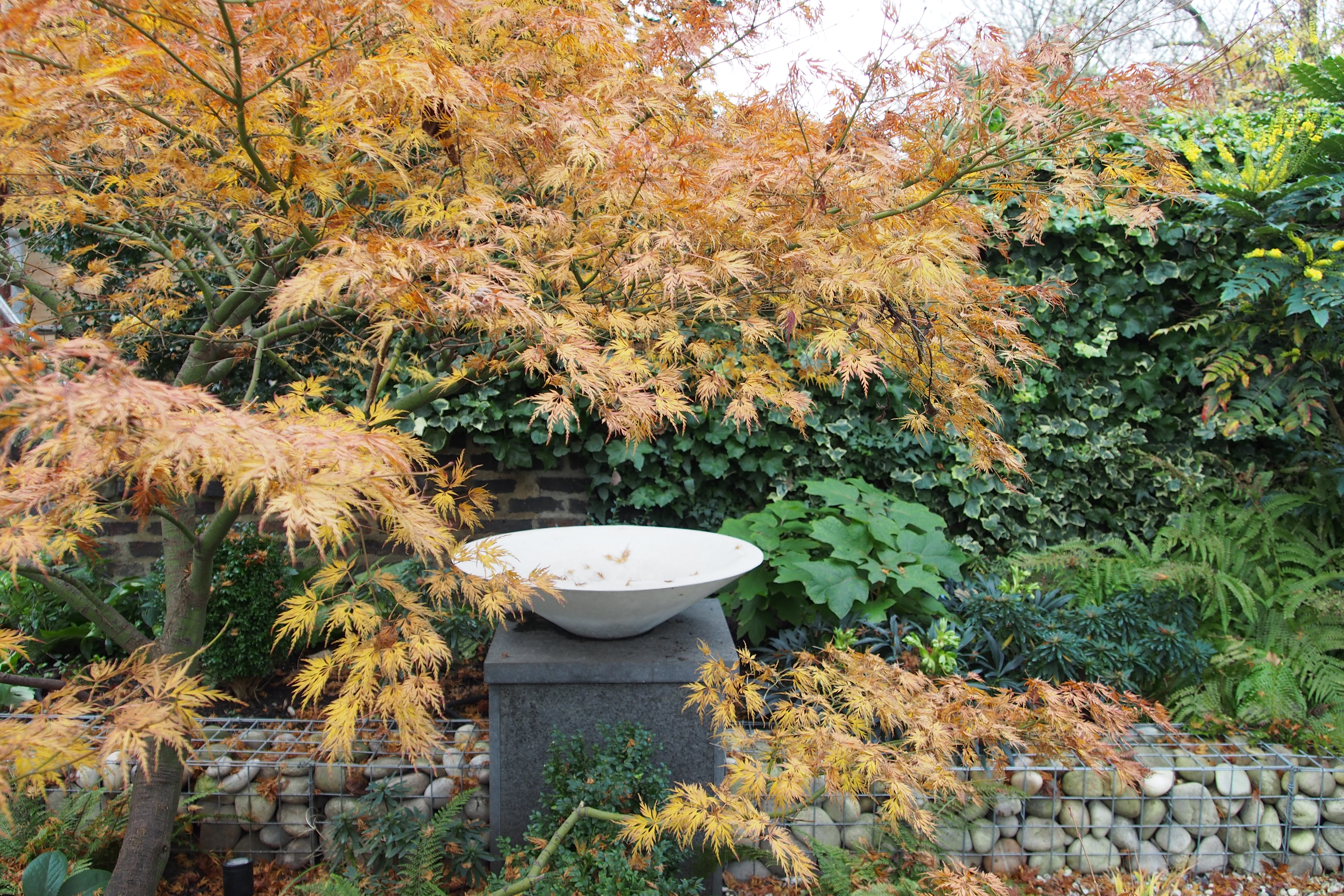 【入手困難】Habitat Creation and Repair 植物学 Habitat Creation in Garden Design - Shoot
