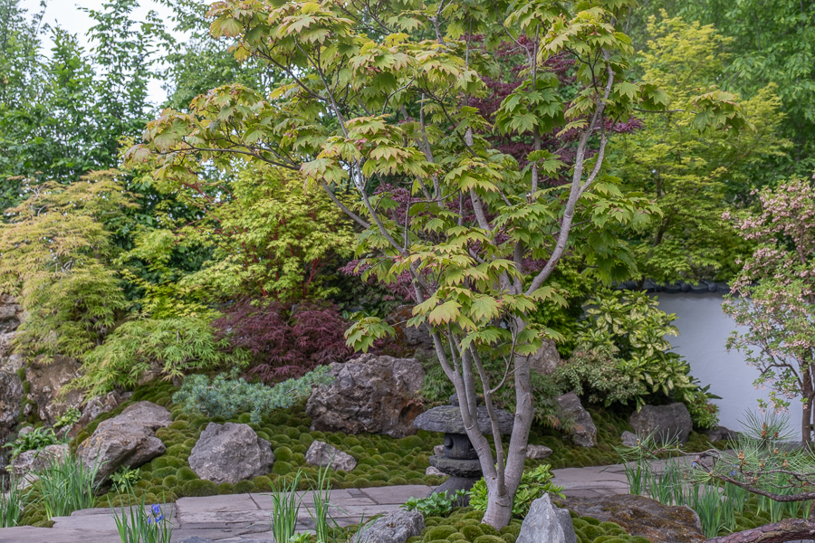 Show garden: Tokonoma Garden – Sanumaya no Niwa Designed by