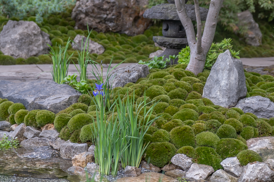 Show garden: Tokonoma Garden – Sanumaya no Niwa Designed by
